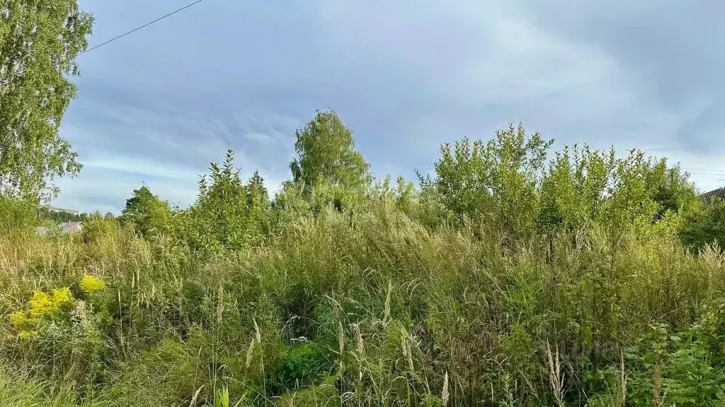 Участок в Вологодская область, Череповецкий район, Судское с/пос, пос. ... - Фото 0