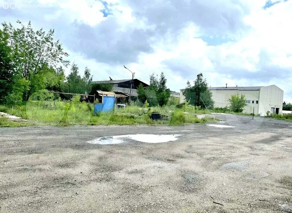 Участок в Раменское, улица Михалевича, 154 (12 м) - Фото 2