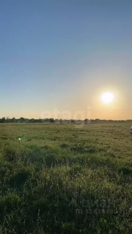 Участок в Крым, Черноморский район, с. Окуневка  (8.45 сот.) - Фото 0