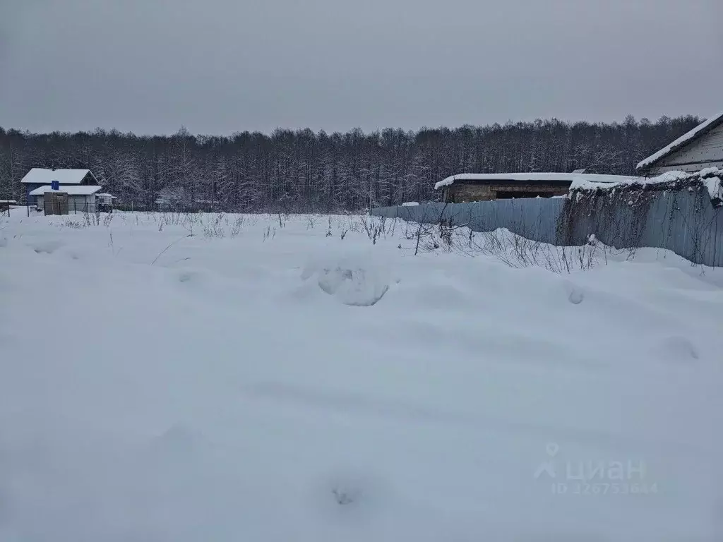 Участок в Московская область, Воскресенск городской округ, Хорлово пгт ... - Фото 1