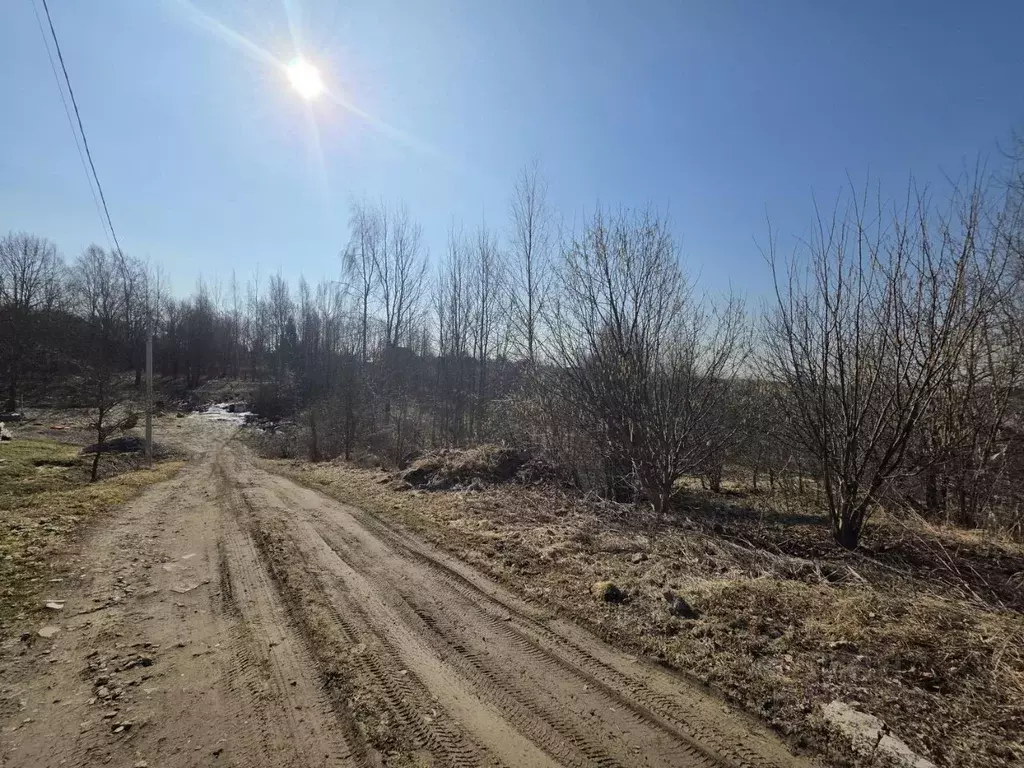Участок в Ленинградская область, Всеволожский район, Колтушское ... - Фото 2