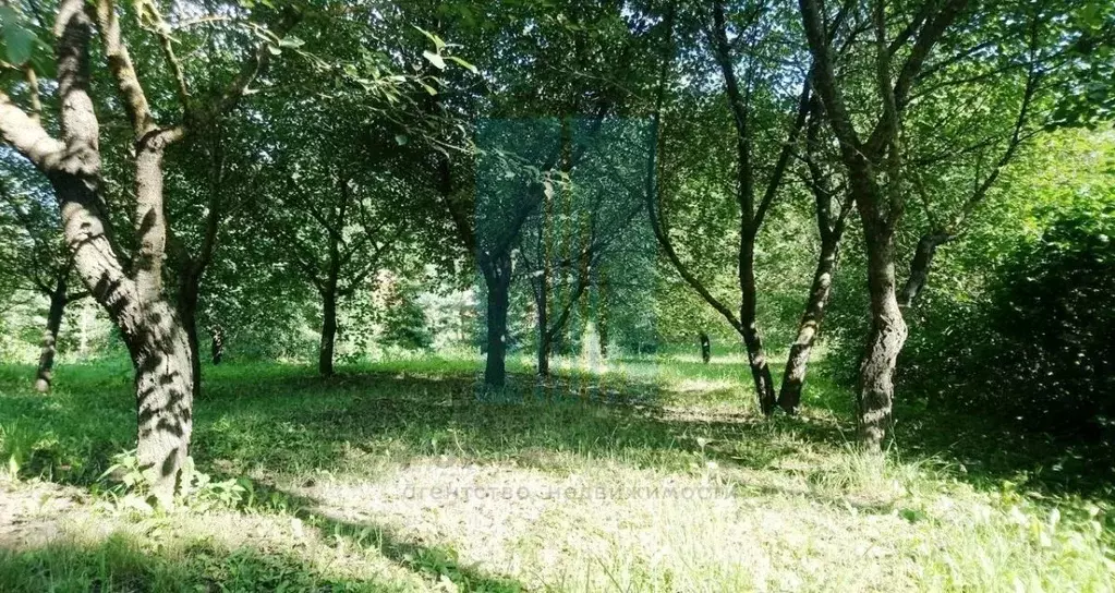 Участок в Московская область, Домодедово городской округ, д. Заболотье ... - Фото 0