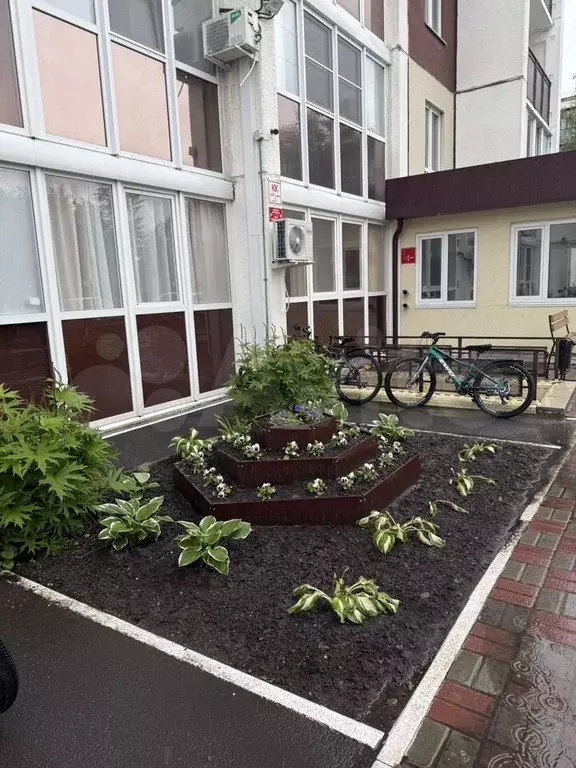 Квартира-студия, 23 м, 13/17 эт. - Фото 1