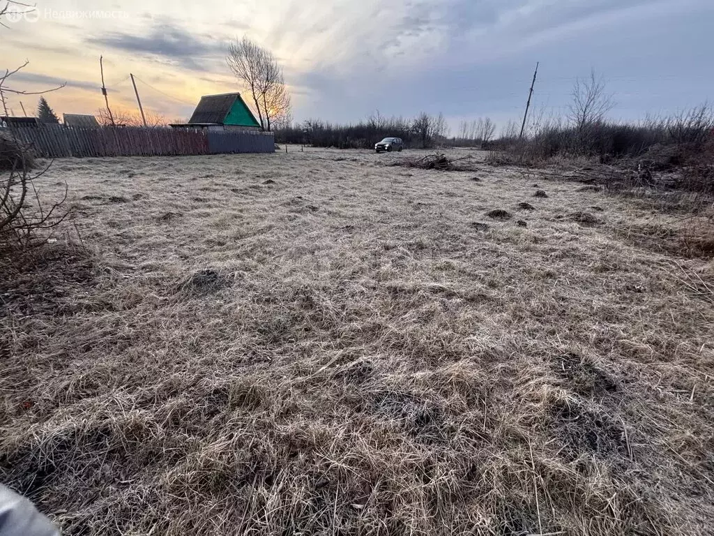 Участок в Наумовский сельсовет, СНТ Зелёный Затон (5 м) - Фото 1