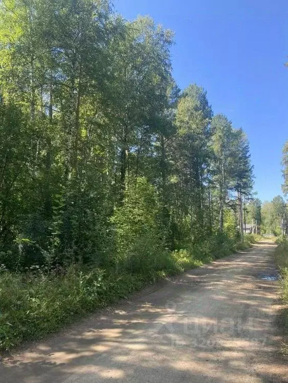 Участок в Иркутская область, Иркутск  (15.0 сот.) - Фото 1