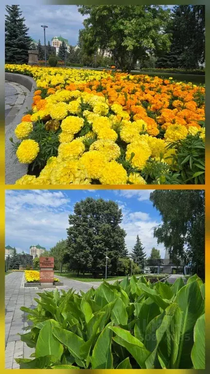 2-к кв. Кемеровская область, Новокузнецк ул. Свердлова, 12 (52.0 м) - Фото 2