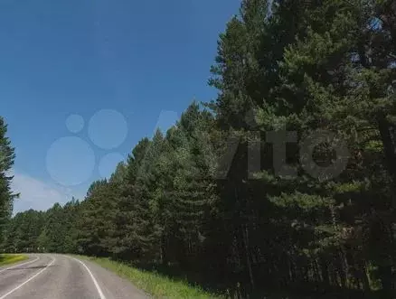 Участок 9 сот. (СНТ, ДНП) - Фото 1