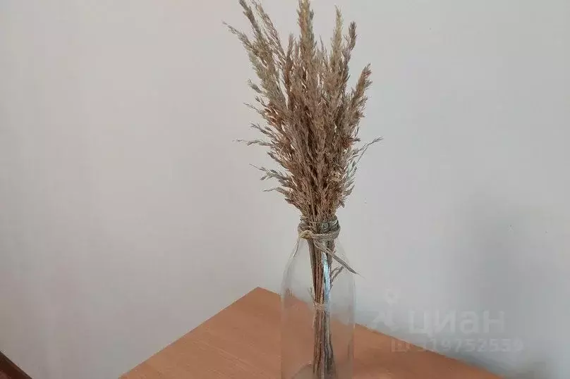 1-к кв. Камчатский край, Петропавловск-Камчатский ул. Академика ... - Фото 2