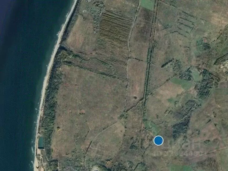 Участок в Калининградская область, Зеленоградский муниципальный округ, ... - Фото 1