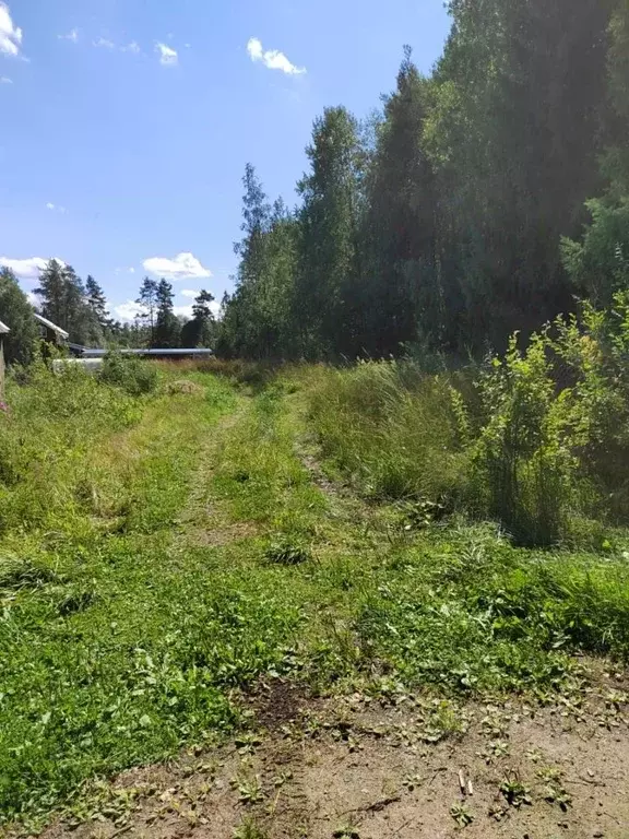 Участок в Ленинградская область, Выборгский район, Красносельское ... - Фото 0