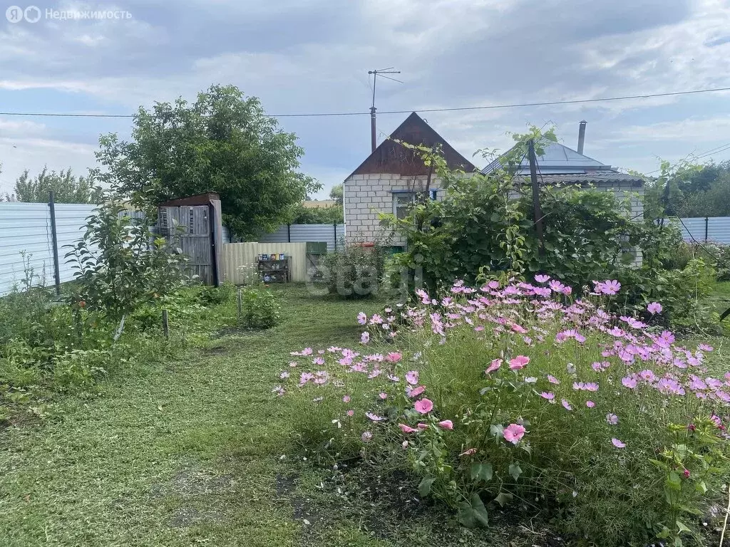 Дом в Рамонский район, Чистополянское сельское поселение, НСТ ... - Фото 0