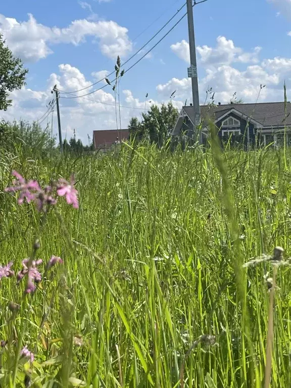 Участок в Московская область, Дмитровский муниципальный округ, с. ... - Фото 1