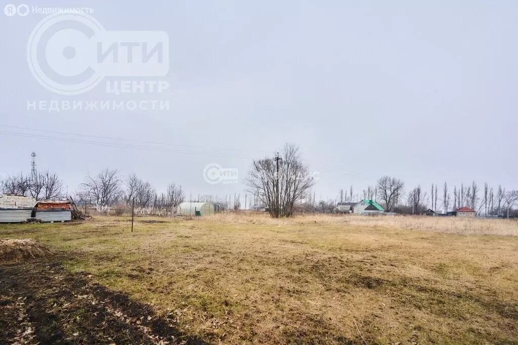 Участок в Рамонский район, Новоживотинновское сельское поселение, СНТ ... - Фото 0