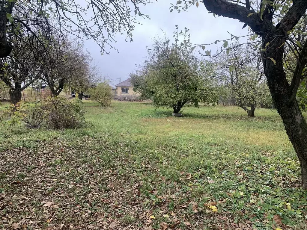 Участок в Тамбовская область, Тамбов городской округ, пос. ... - Фото 1