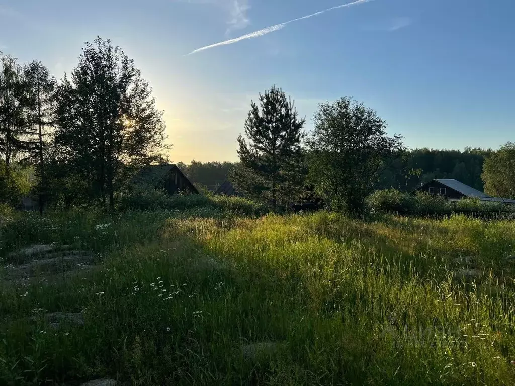 Участок в Свердловская область, Верхняя Пышма городской округ, пос. ... - Фото 1