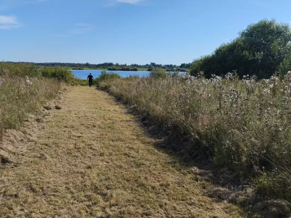 Участок в Новгородская область, Шимское городское поселение, д. Старый ... - Фото 1