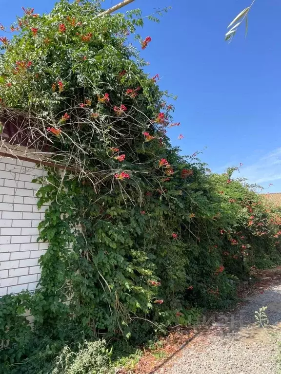 Участок в Астраханская область, Астрахань проезд 2-й Литейный переулок ... - Фото 2