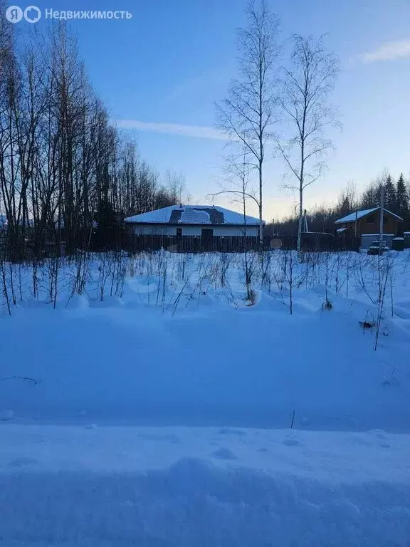 Участок в Рахьинское городское поселение, КП Ладожские берега, ... - Фото 2