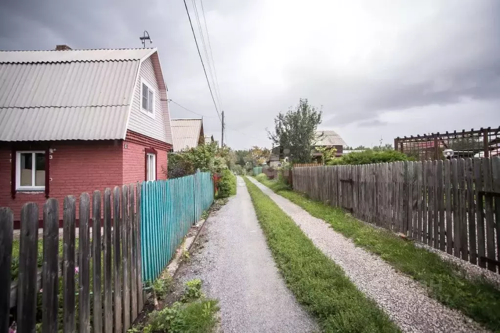 Участок в Новосибирская область, Бердск Родник 2 СНТ, ул. Лесная (4.6 ... - Фото 1