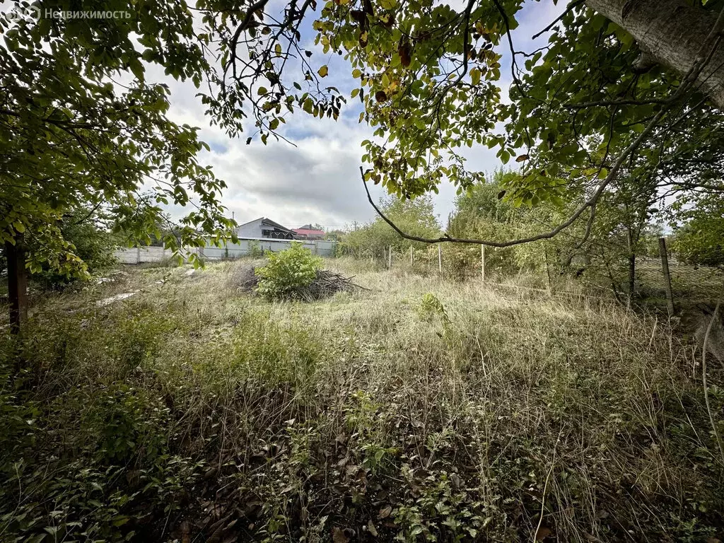 Участок в посёлок городского типа Молодёжное, СНТ Аграрник (5.05 м) - Фото 1