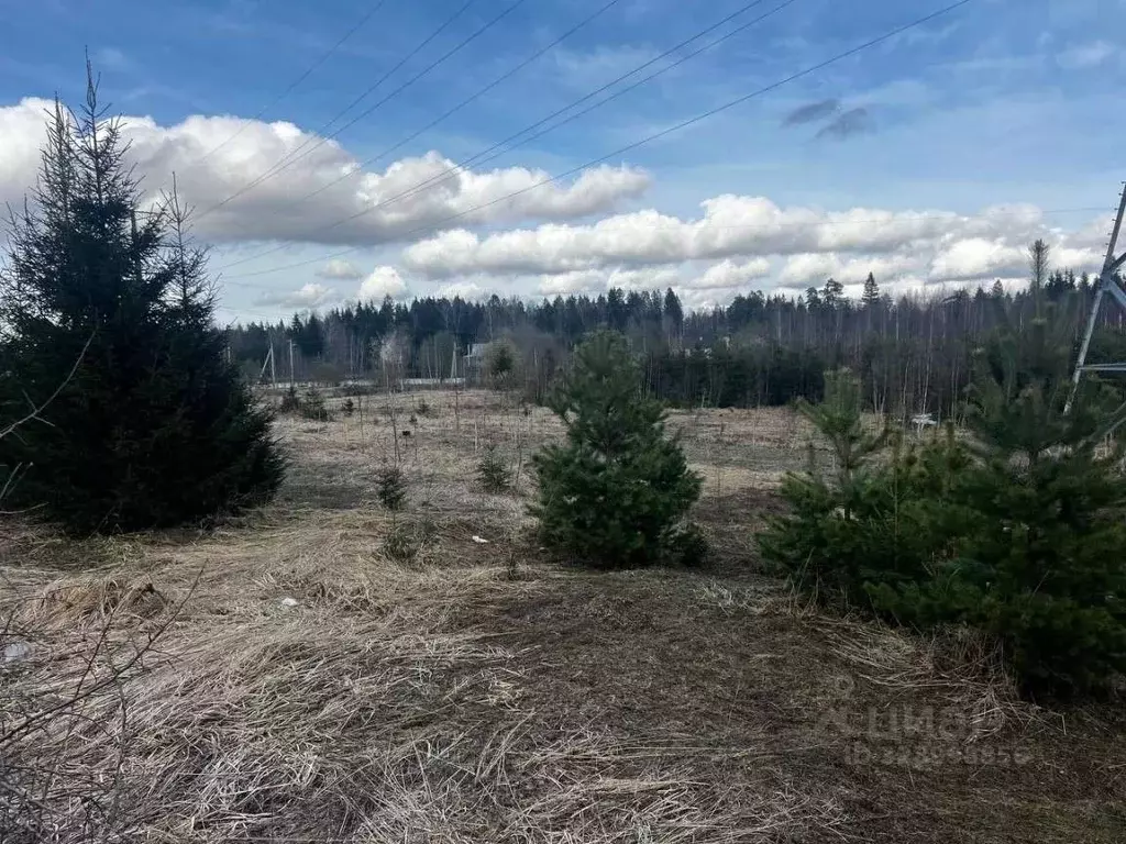 Участок в Московская область, Солнечногорск городской округ, д. ... - Фото 0