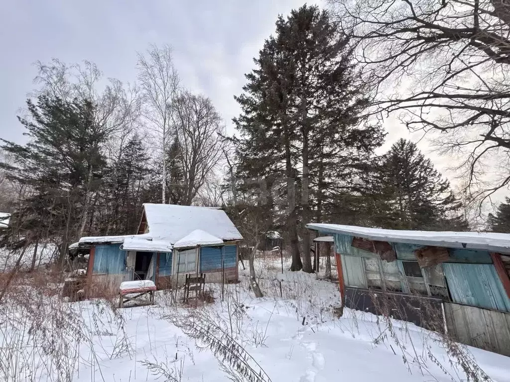 Участок в Хабаровский край, Хабаровский район, Бархатное СНТ  (14.0 ... - Фото 1