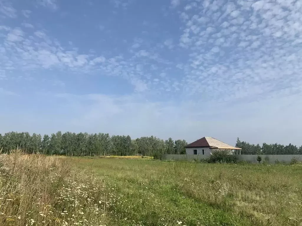 Участок в Московская область, Истра муниципальный округ, д. Загорье, ... - Фото 1