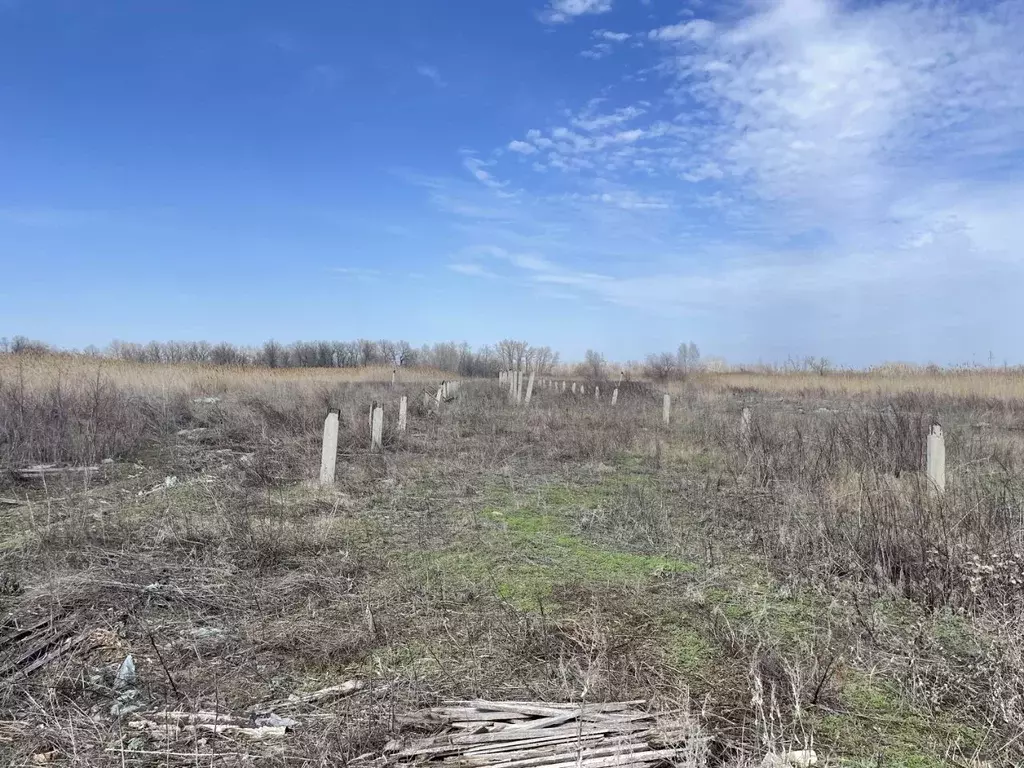 Участок в Волгоградская область, Среднеахтубинский район, Куйбышевское ... - Фото 2