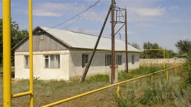 Помещение свободного назначения в Ростовская область, пос. Зимовники ... - Фото 1