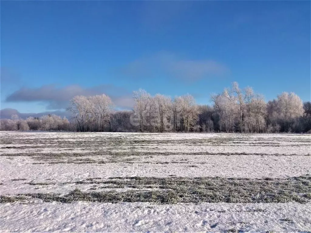 Участок в Свердловская область, Махнево пгт  (5280.0 сот.) - Фото 0