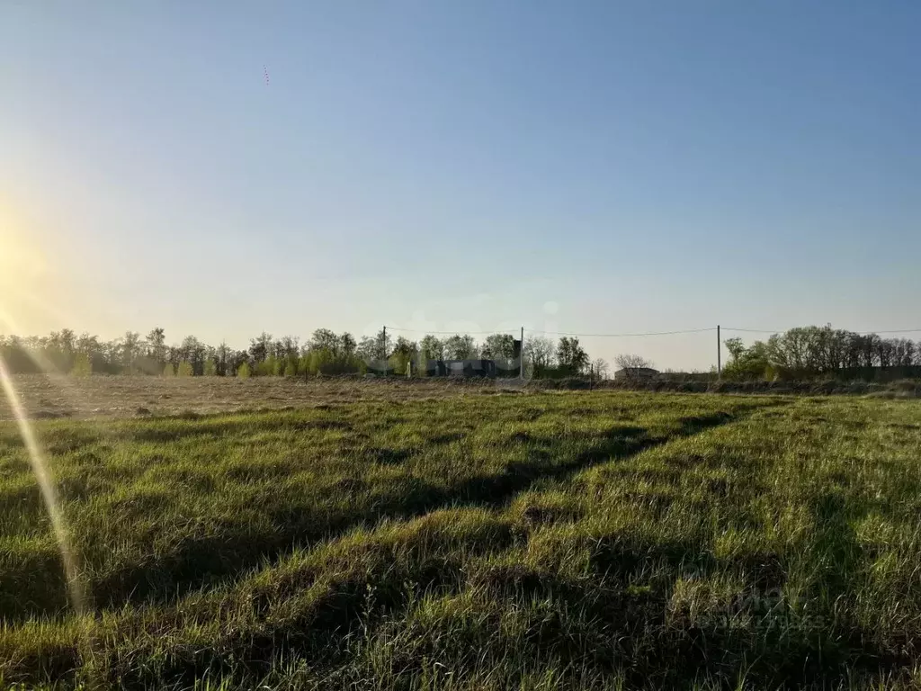 Участок в Курская область, Курск ул. Комдива Высоцкого (10.0 сот.) - Фото 0