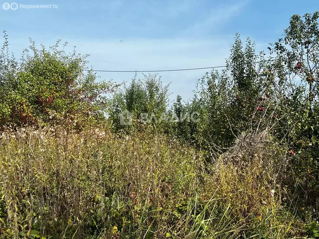 участок в балтийский городской округ, посёлок дивное (10 м) - Фото 0