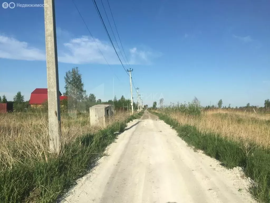 Участок в Тюмень, садовое товарищество Поле Чудес, Зелёная улица, 371 ... - Фото 1