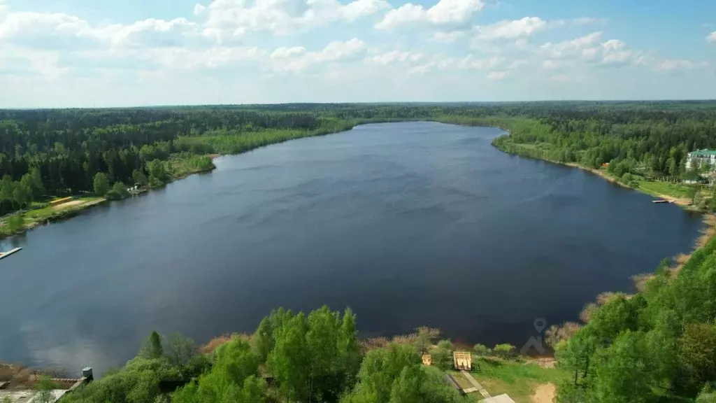 Участок в Московская область, Дмитровский муниципальный округ, с. ... - Фото 1