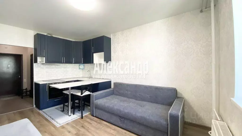 Студия Ленинградская область, Мурино Всеволожский район, аллея ... - Фото 2