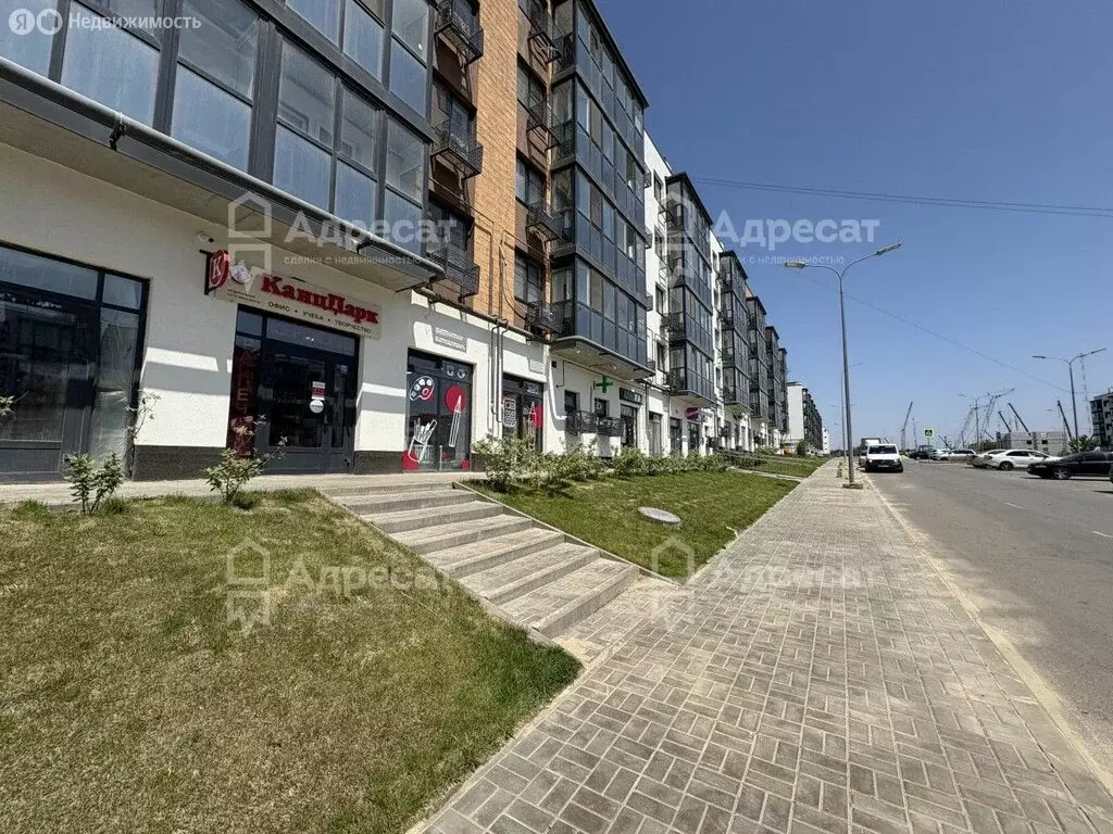 Помещение свободного назначения (62.6 м) - Фото 1