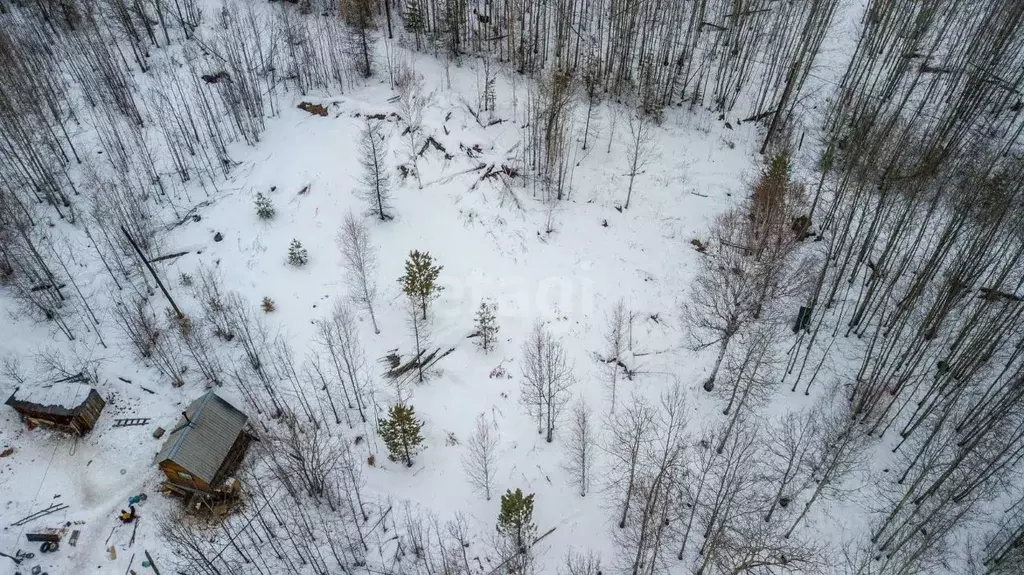 Погода в худяково иркутский