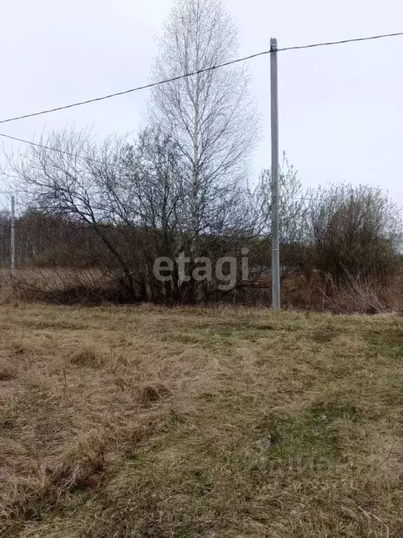 Участок в Тюменская область, Нижнетавдинский район, Полиграфист ... - Фото 0