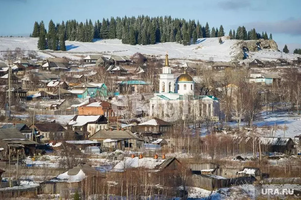 Участок в Свердловская область, Нижний Тагил городской округ, с. ... - Фото 1