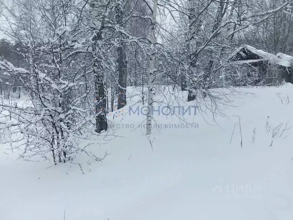 Дом в Нижегородская область, Вачский муниципальный округ, д. Шишкино  ... - Фото 0