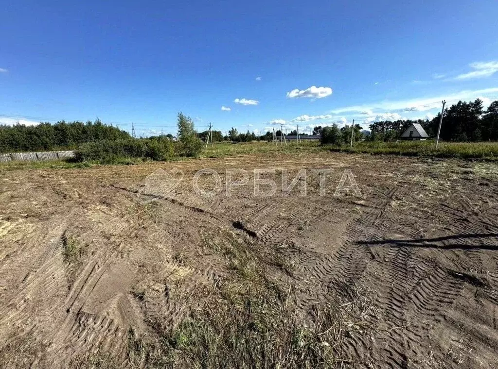 Участок в Тюменская область, Тюменский муниципальный округ, с. Борки  ... - Фото 1