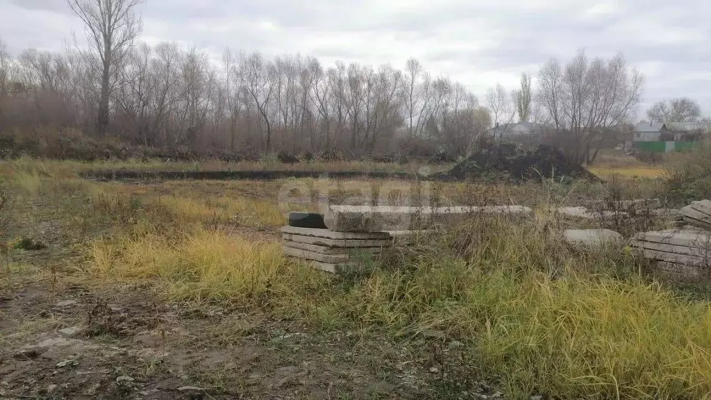 Участок в Воронежская область, с. Новая Усмань ул. Освобождения, 271 ... - Фото 0