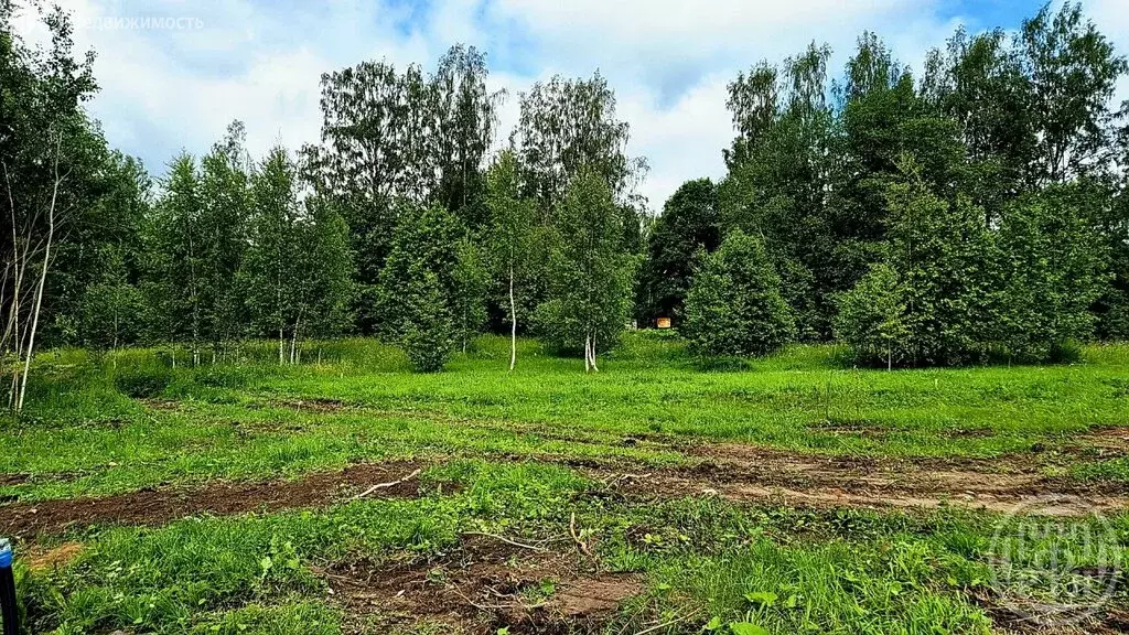Участок в Лесколовское сельское поселение, деревня Аньялово (6.5 м) - Фото 1