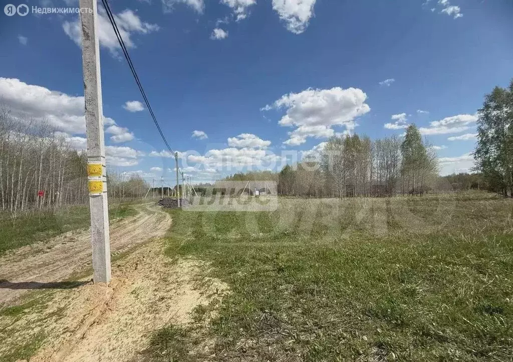 Участок в Нижнетавдинский район, Черепановское сельское поселение (8 ... - Фото 0