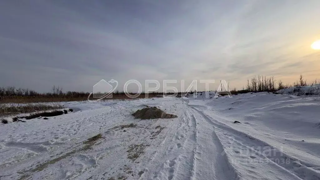 Участок в Тюменская область, Нижнетавдинский муниципальный округ, с. ... - Фото 2