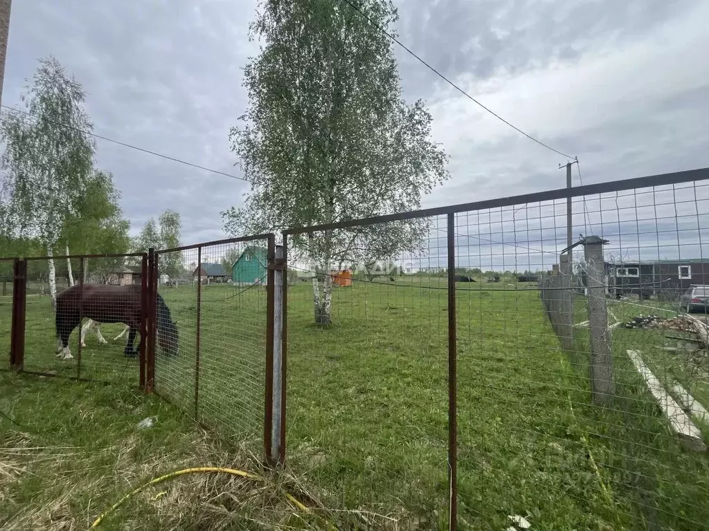 Участок в Московская область, Коломна городской округ, с. Чанки  (12.0 ... - Фото 2