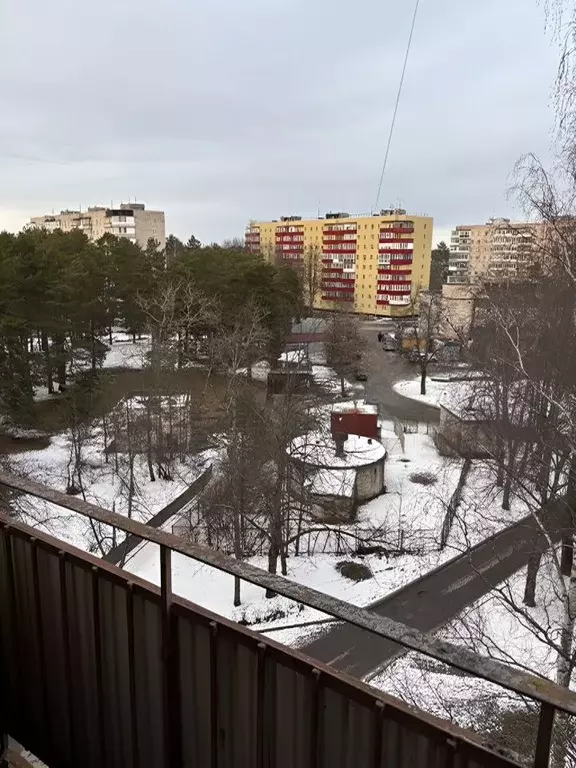 1-к кв. Ленинградская область, Сосновый Бор Высотная ул., 1 (32.0 м) - Фото 0
