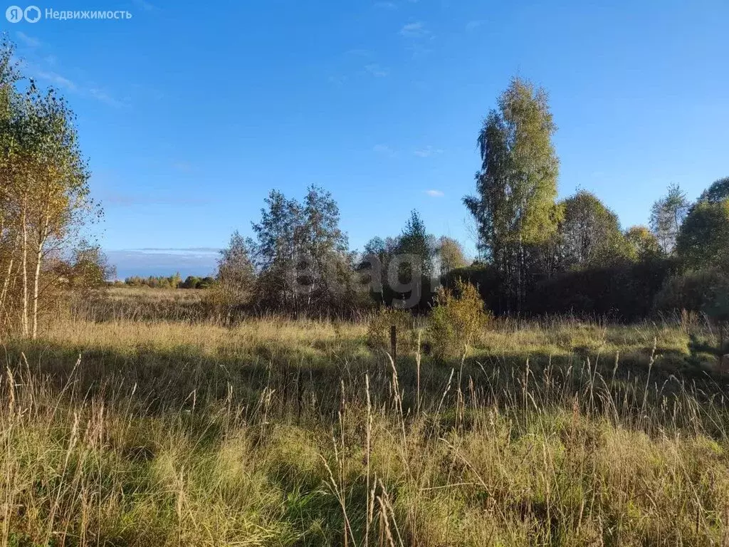 Участок в Палкинский район, Новоуситовская волость, деревня ... - Фото 0