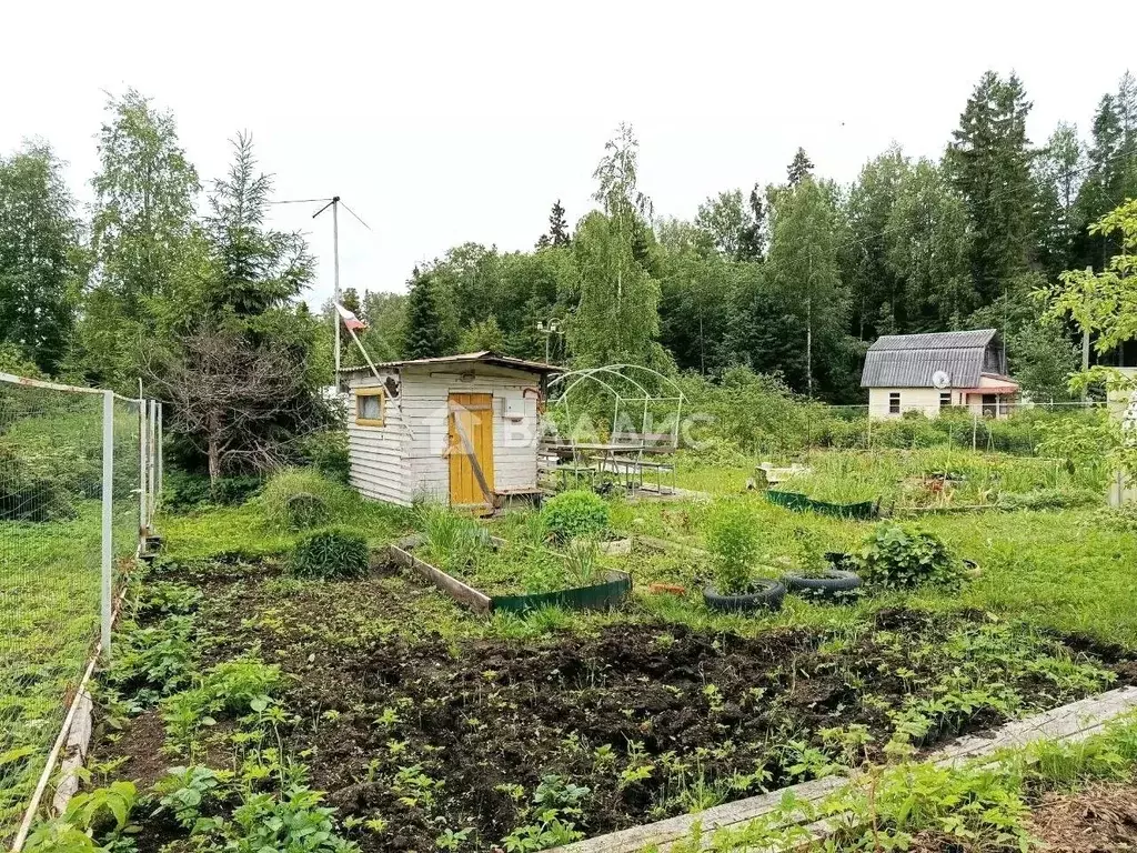 Участок в Карелия, Прионежский район, Деревянское с/пос, Дорожник СНТ ... - Фото 1