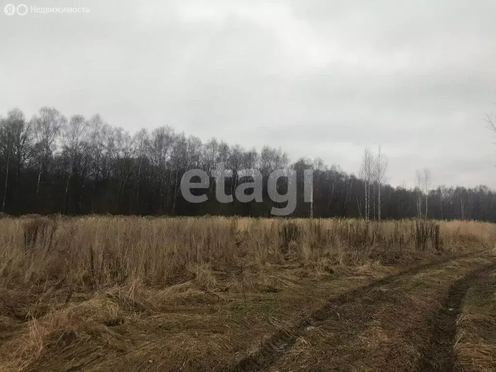 Участок в Тульская область, муниципальное образование Тула, деревня ... - Фото 1